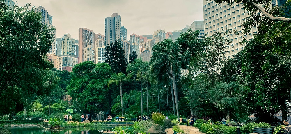 Hong Kong Park by Señor Ashraf 