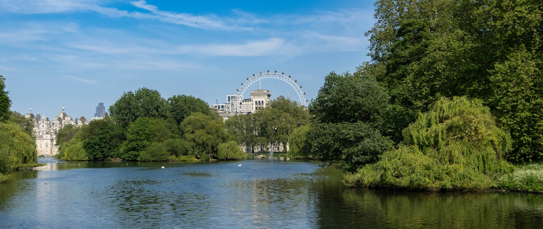 St James Park with the London Eye in the background